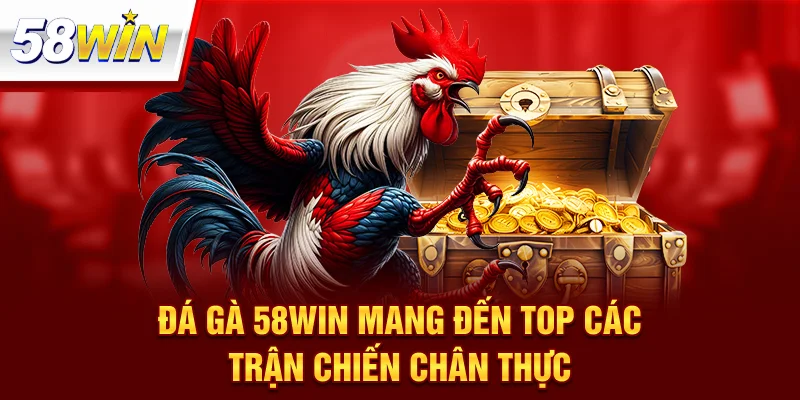 Đá gà 58Win