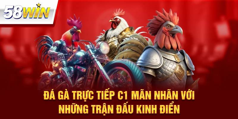 Đá Gà Trực Tiếp C1