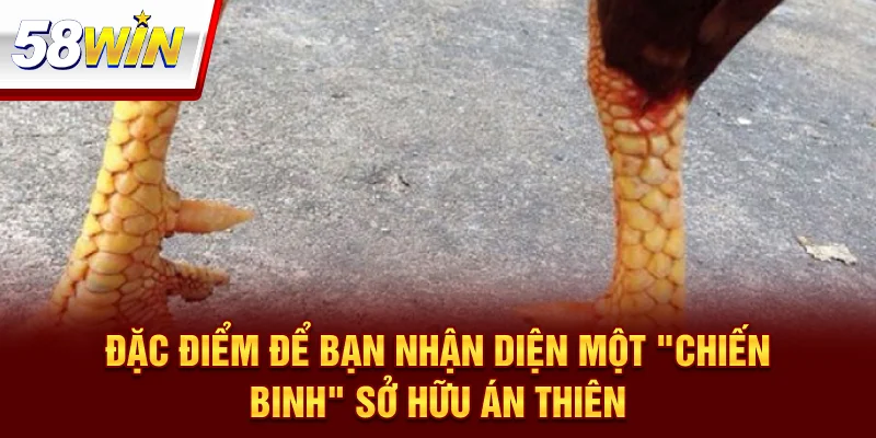 Vảy Án Thiên