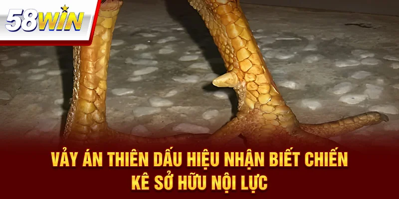 Vảy Án Thiên